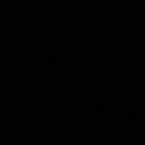 Meet your Posher, Angelina